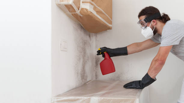 Professional Mold Testing technician working in Crystal Beach, FL