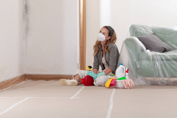 Reliable Mold Testing contractor in Crystal Beach, FL by WQB Mold Removal